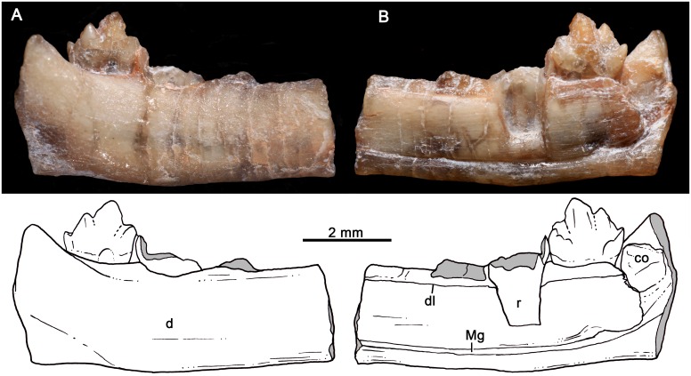 Fig 16