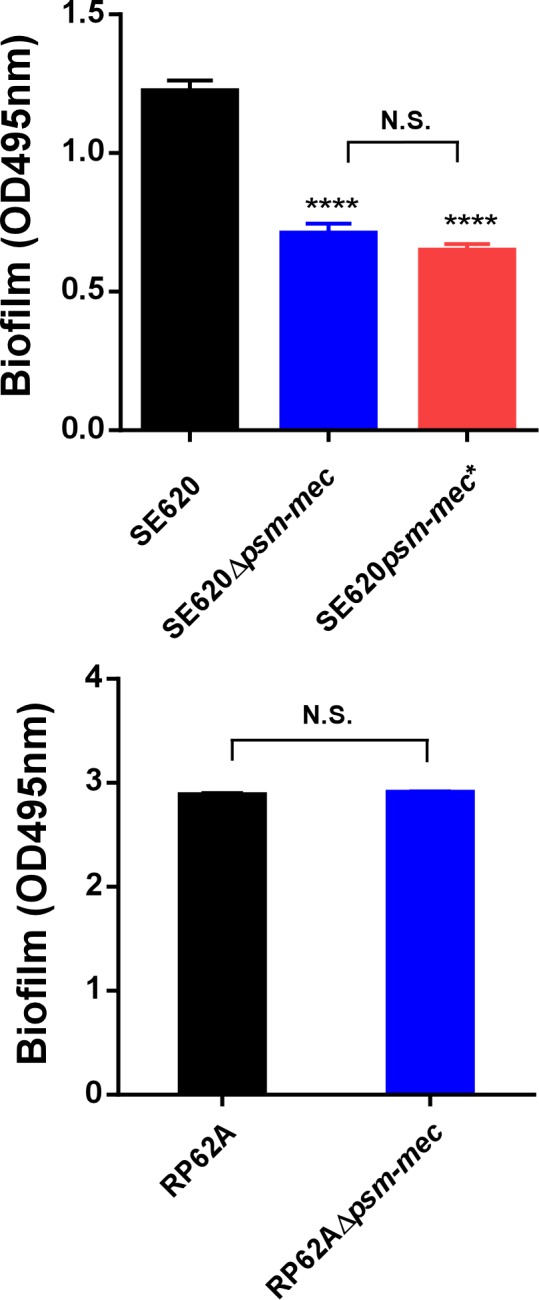 Fig 5