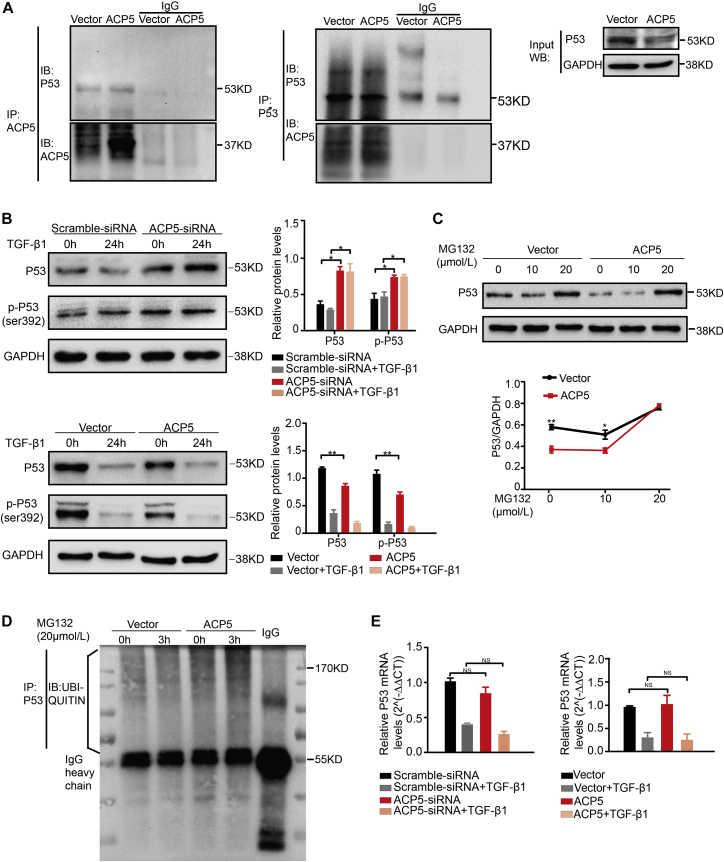 Figure 5