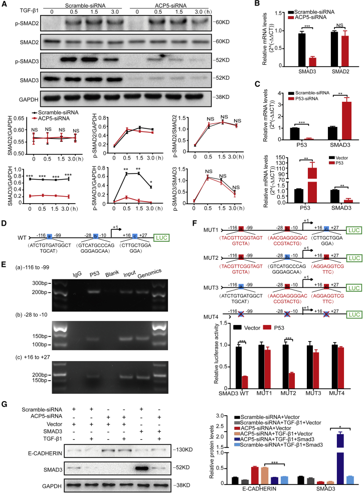 Figure 6