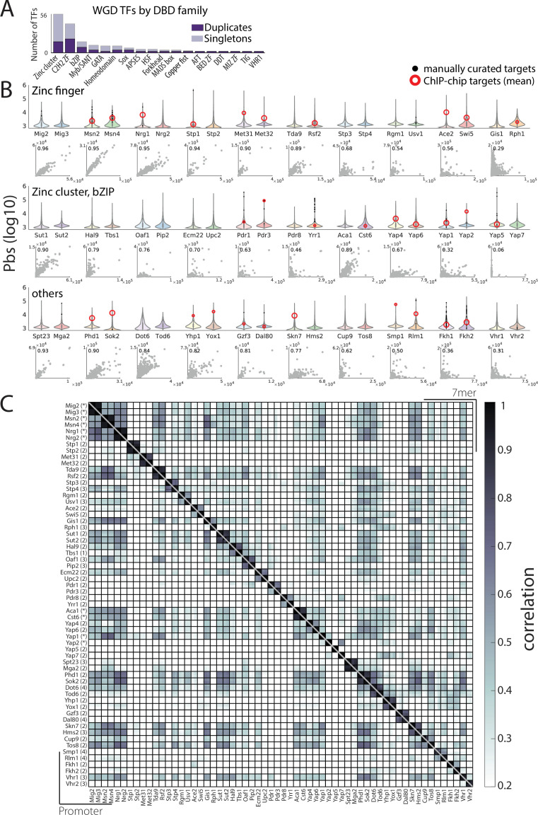 Figure 1—figure supplement 1.