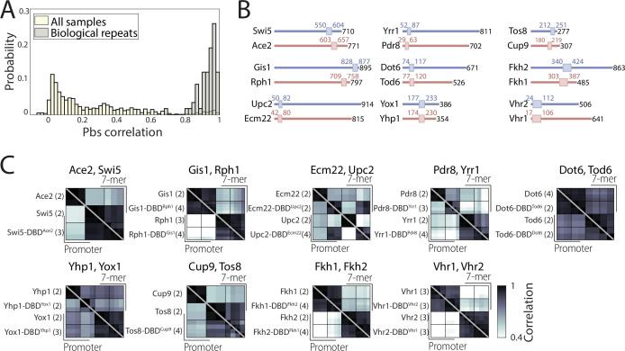 Figure 4—figure supplement 1.