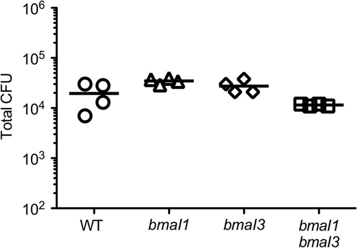 Fig 2