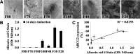 <b>FIG. 2.</b>