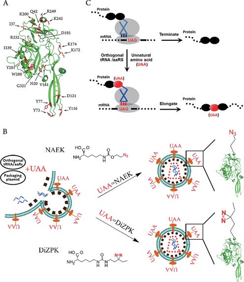 Figure 1.