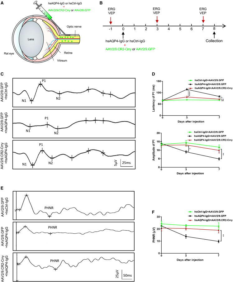 Figure 5