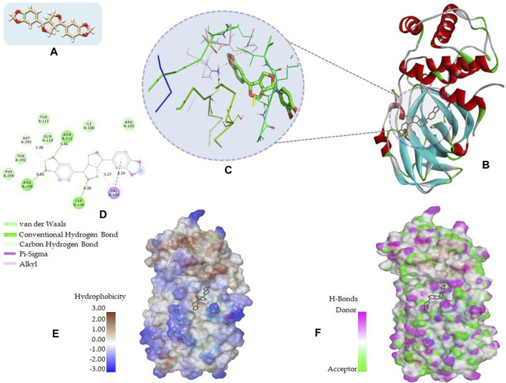 FIGURE 2