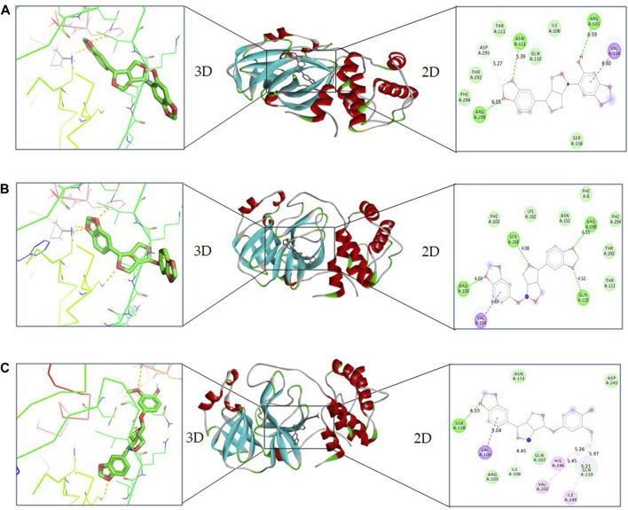 FIGURE 3