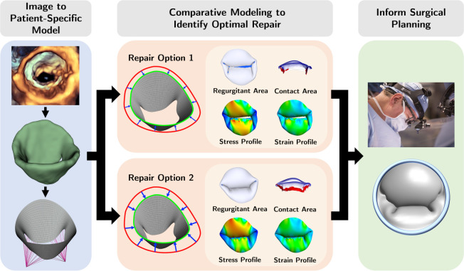 Figure 1: