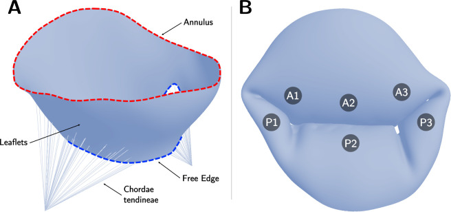 Figure 2: