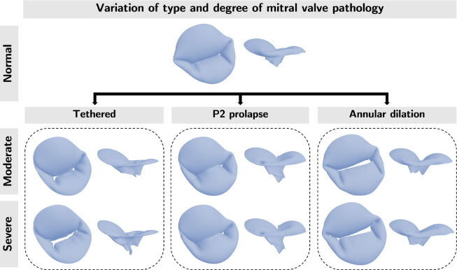 Figure 3: