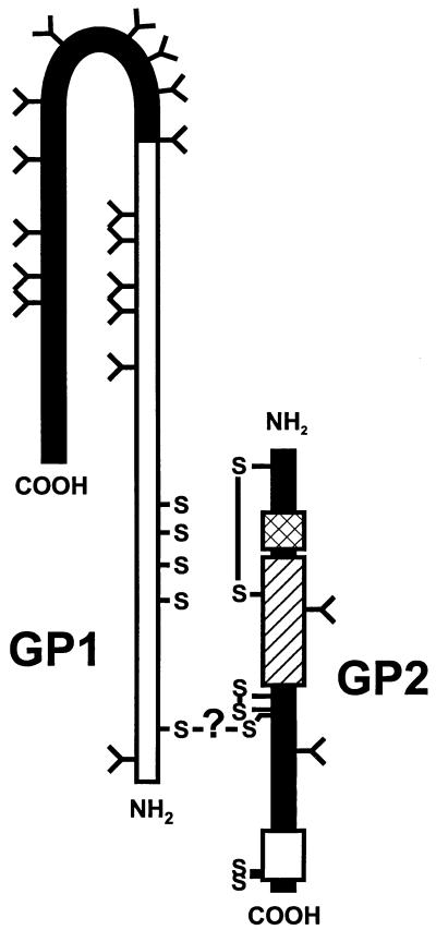 FIG. 7