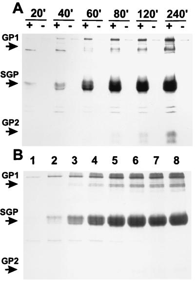 FIG. 6