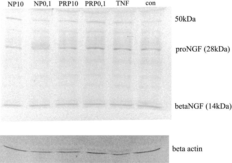 Fig. 5