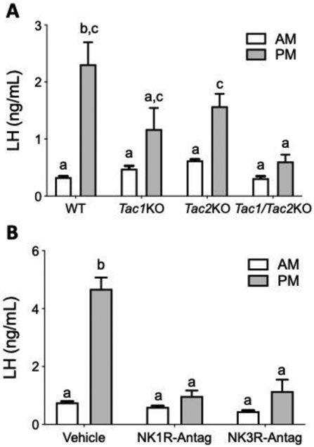 Figure 4: