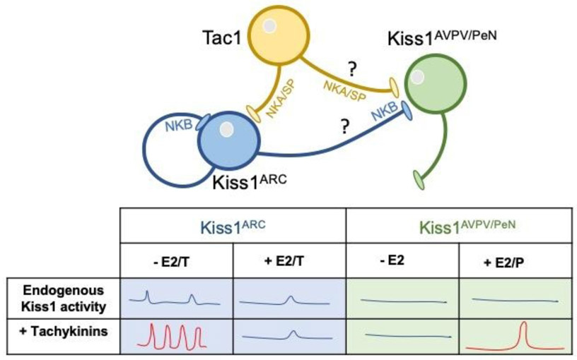 Figure 5: