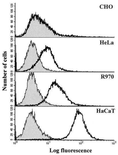 FIG. 7