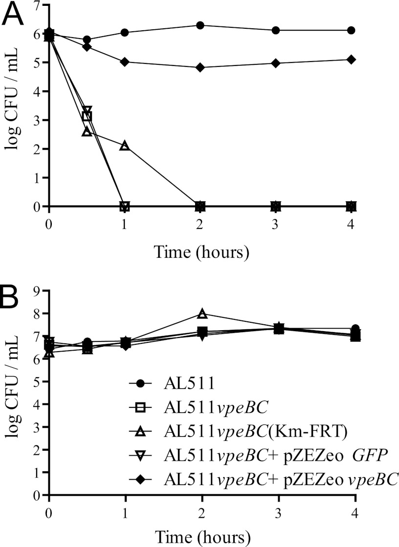 Fig 8