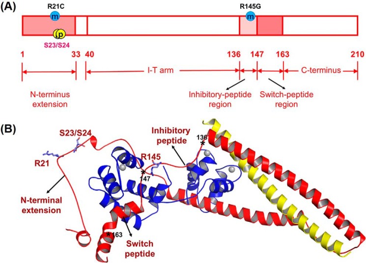 FIGURE 1.