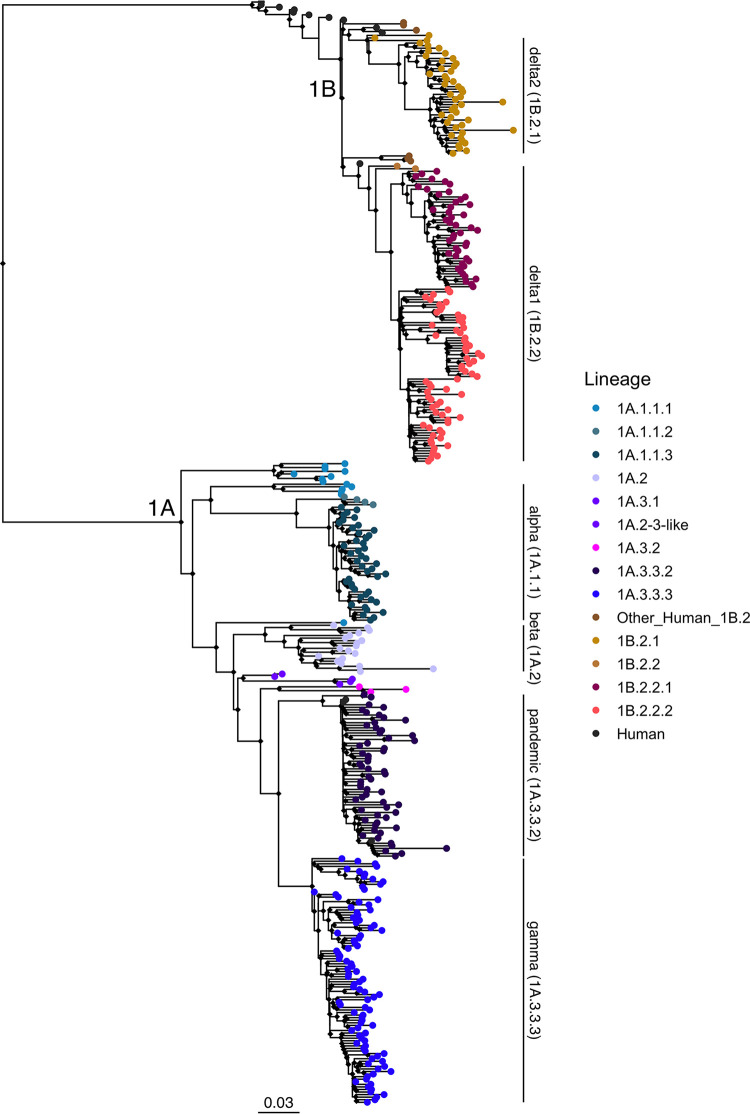 FIG 1