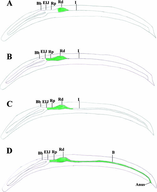 FIG. 7.