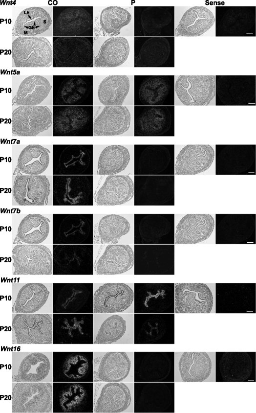 FIG. 5.