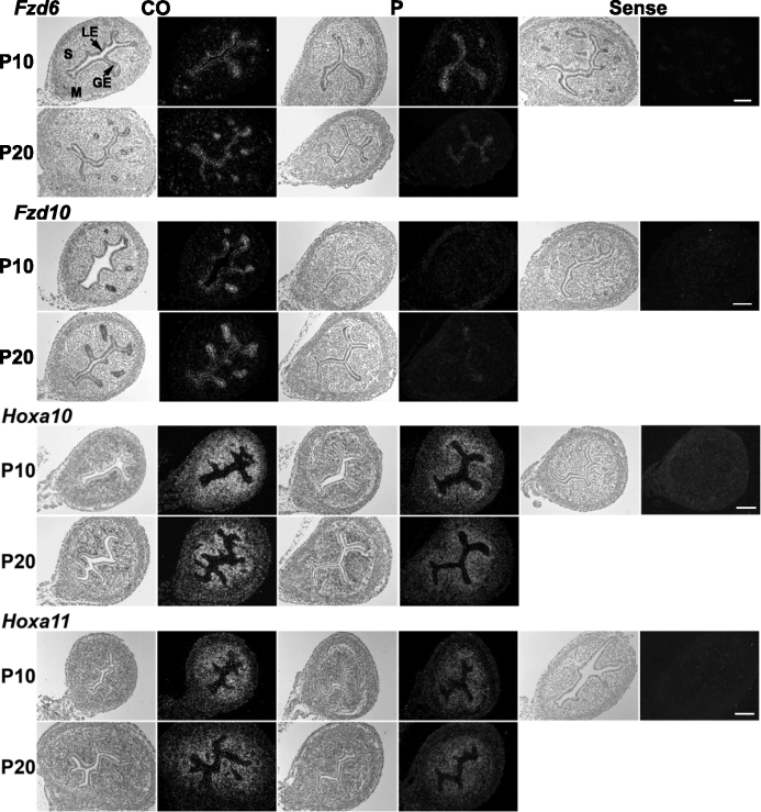 FIG. 6.