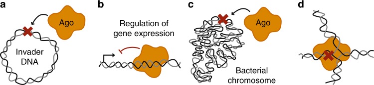 Fig. 6