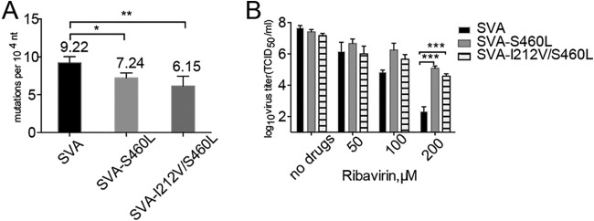 FIG 5