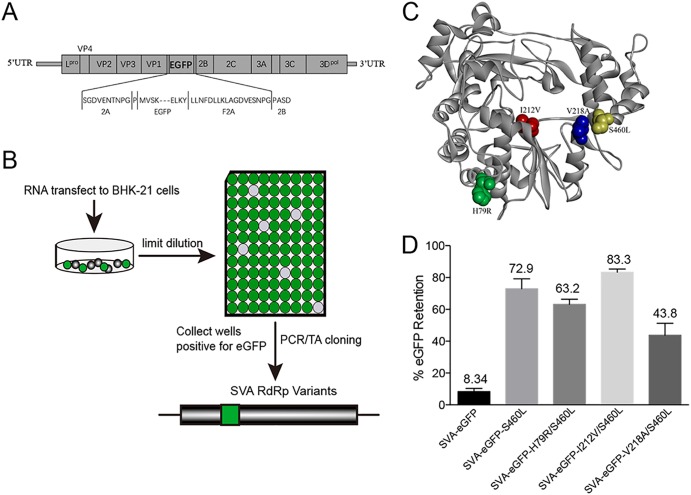 FIG 3