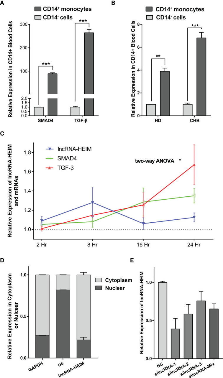 Figure 3