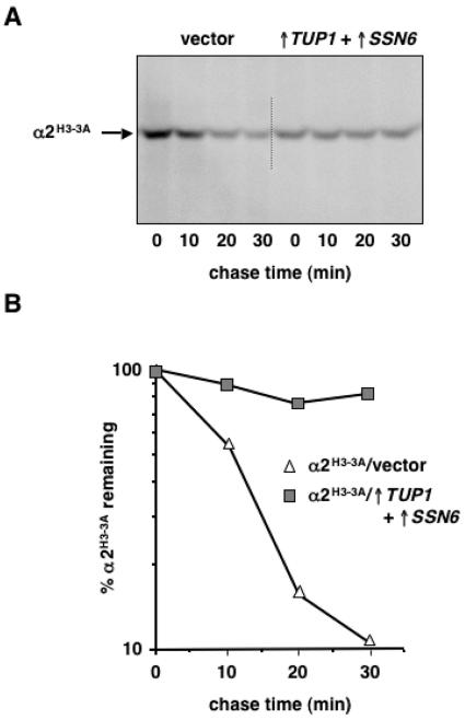 FIG. 7.