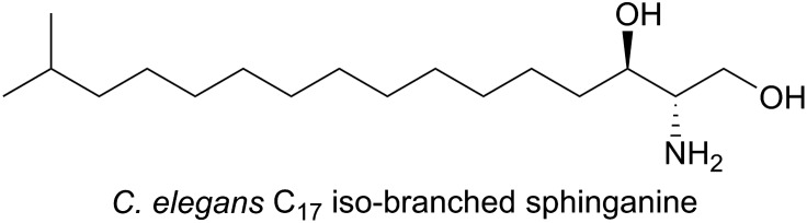 Fig. 11