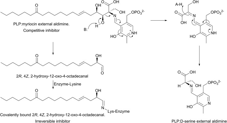 Fig. 13