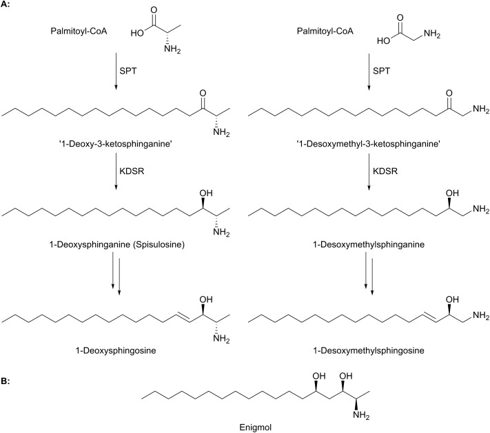 Fig. 9