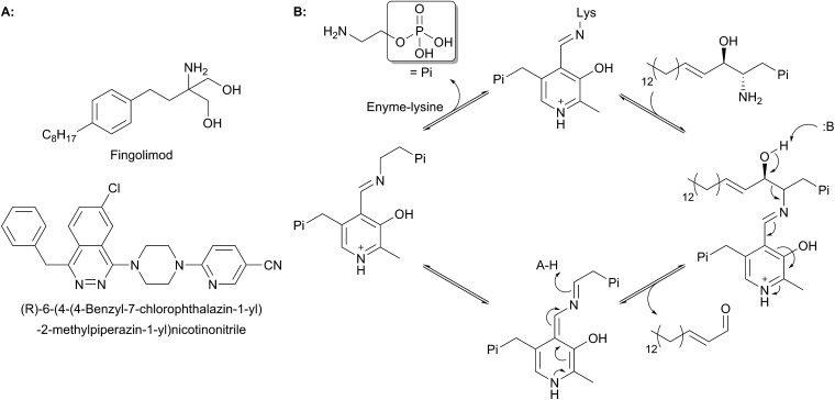 Fig. 20