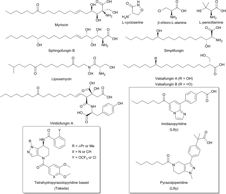 Fig. 12