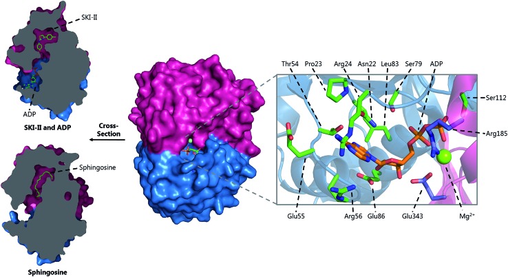 Fig. 16