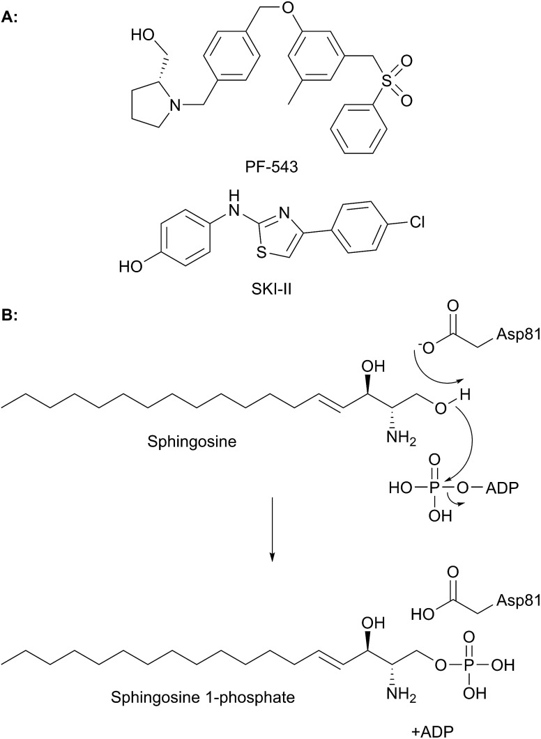 Fig. 17