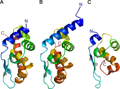 FIG. 1.