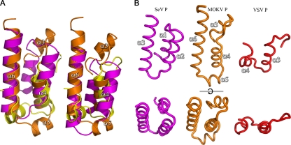 FIG. 4.