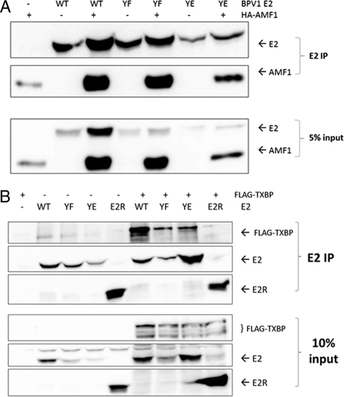 FIG 4