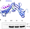 FIG 1