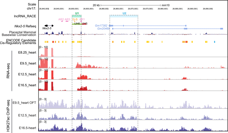 Figure 1