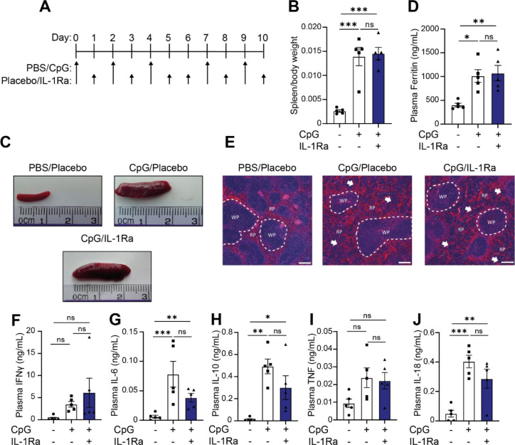 Figure 4: