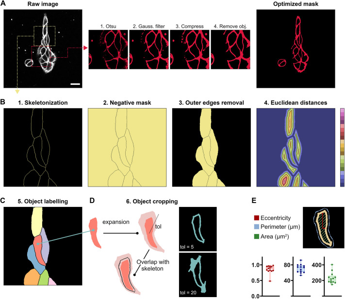 Fig. 2.