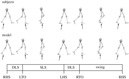 Figure 1.