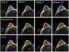 Figure 6.