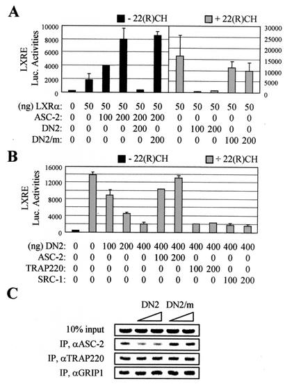 FIG. 2.