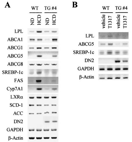 FIG. 6.